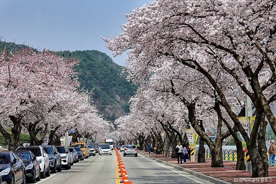 江原特别自治道 三陟市