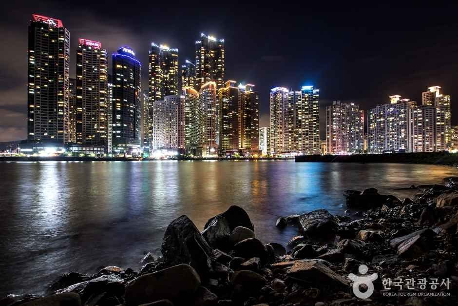 부산광역시 busan