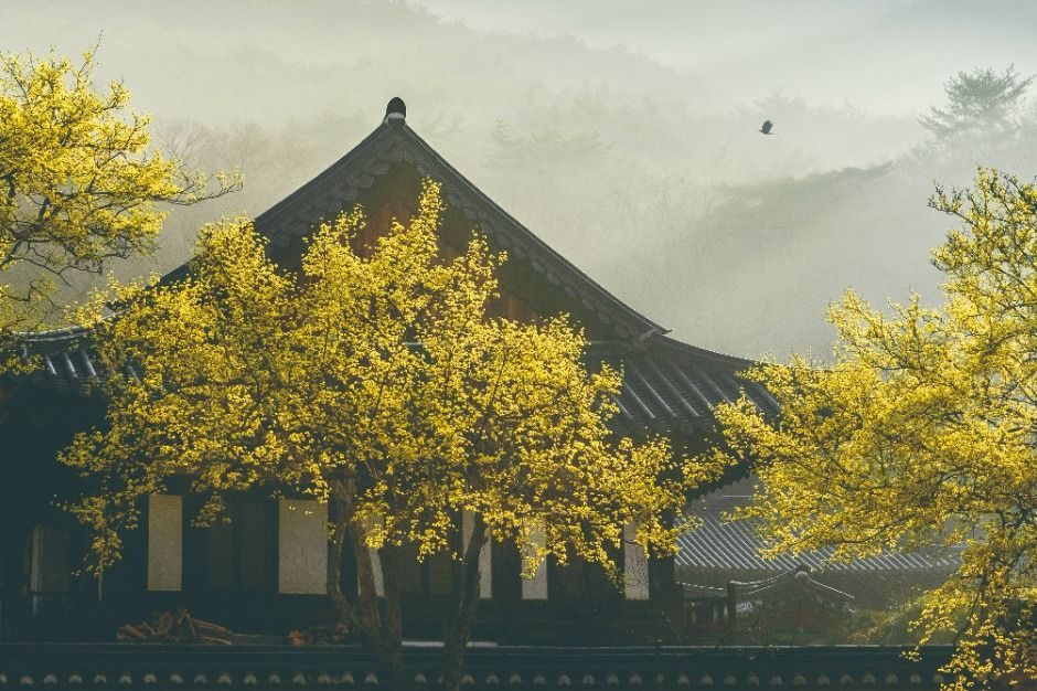 全羅南道 順天市