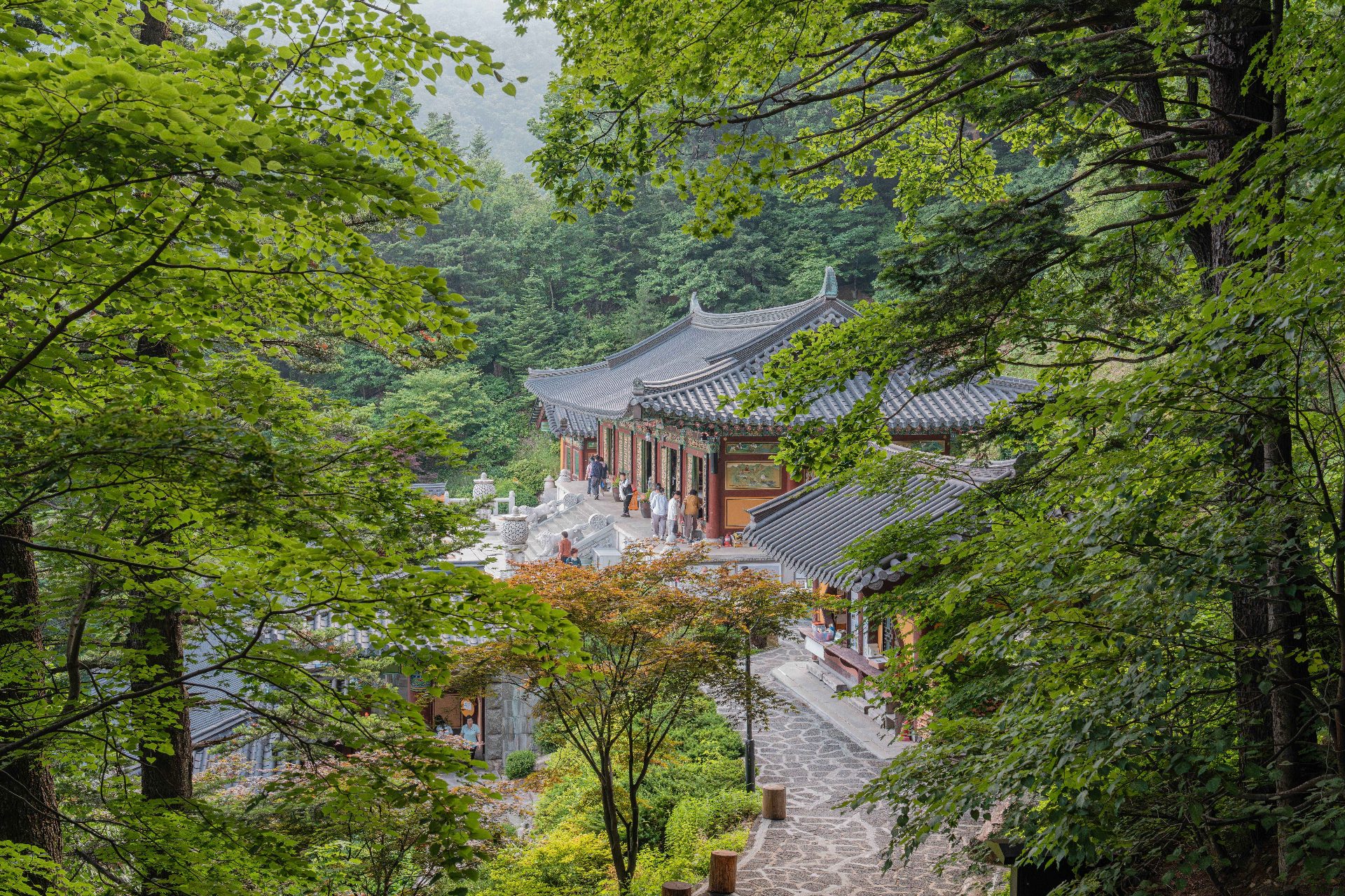 Odaesan photo 3