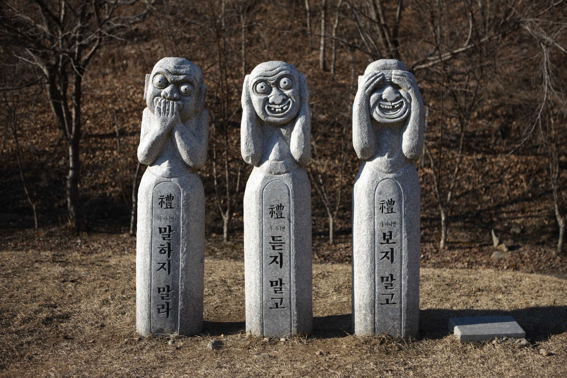 七甲山 photo 2