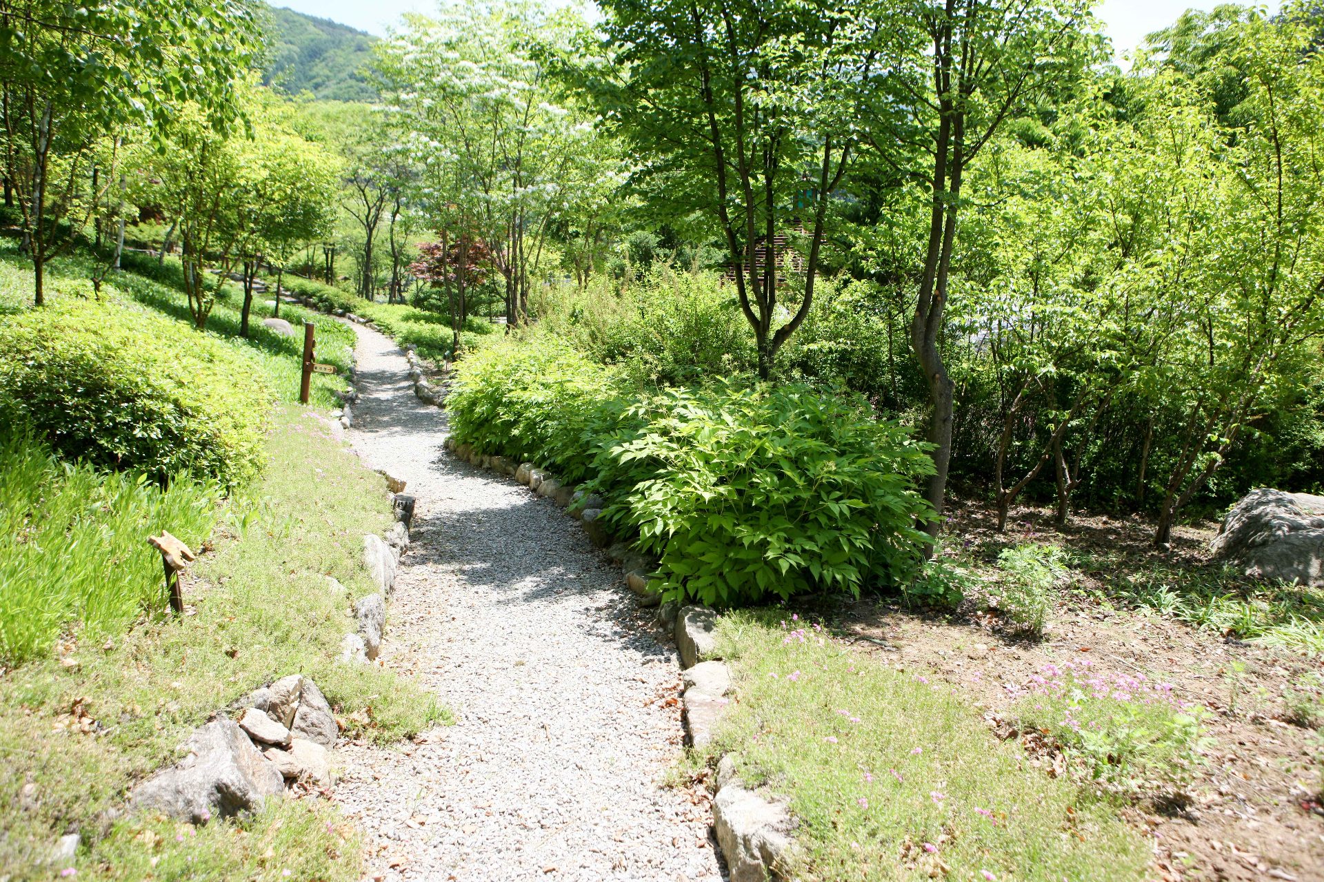 明智山 photo 5