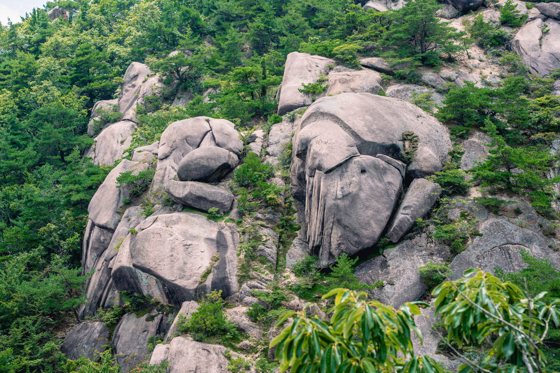 黄梅山 photo 3