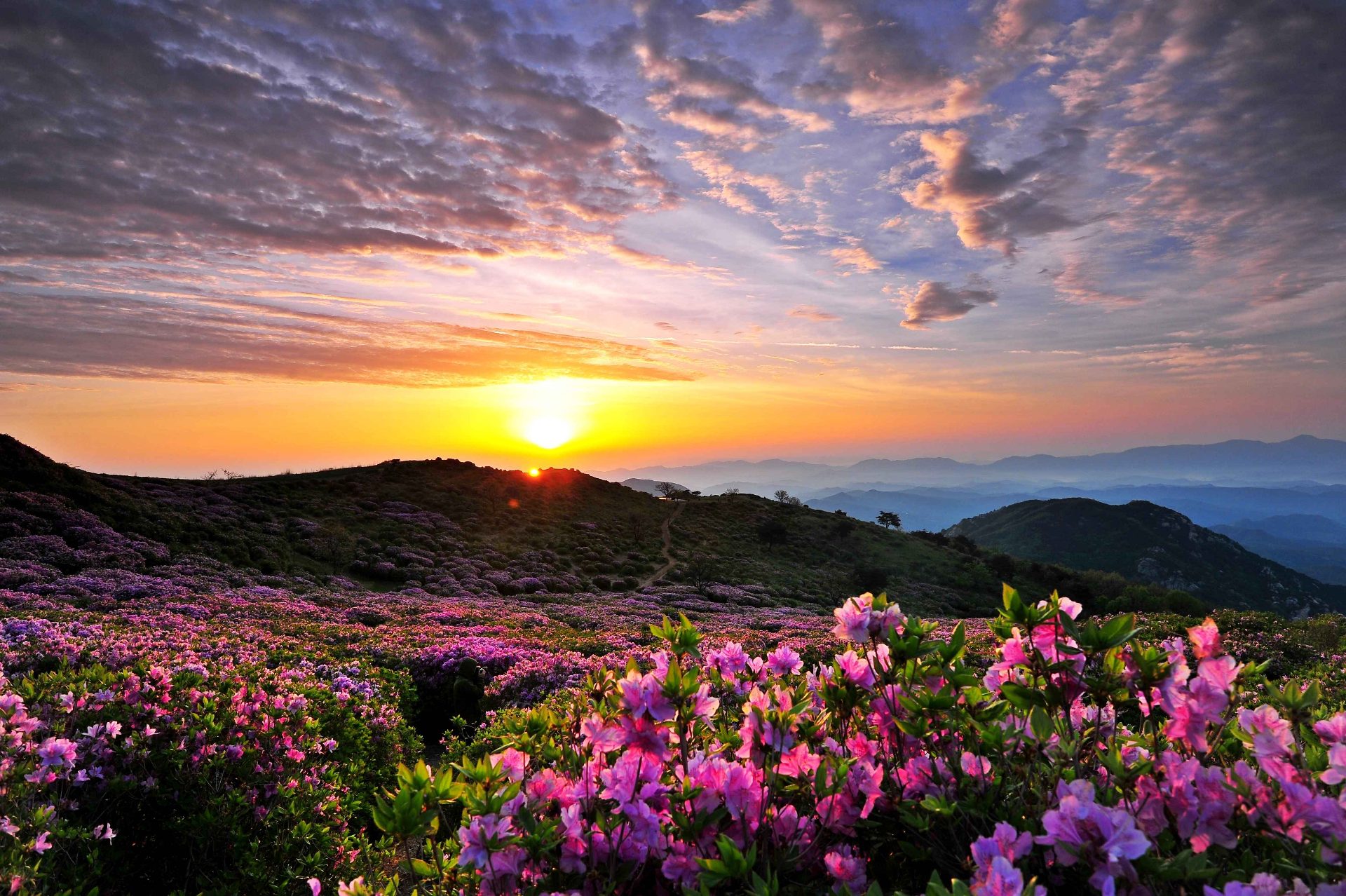 黄梅山 photo 4