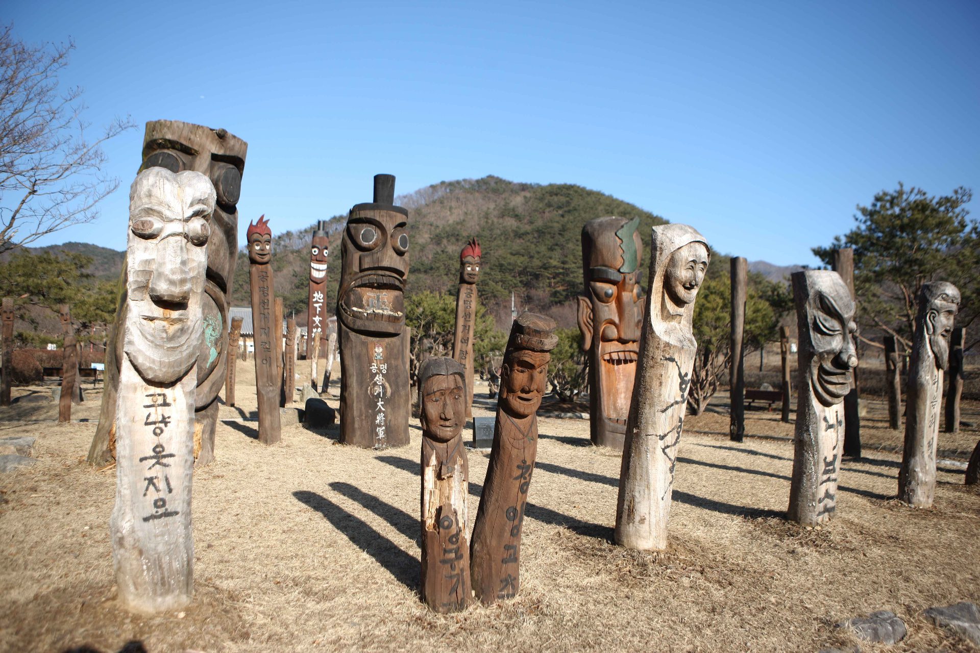 七甲山 photo 5