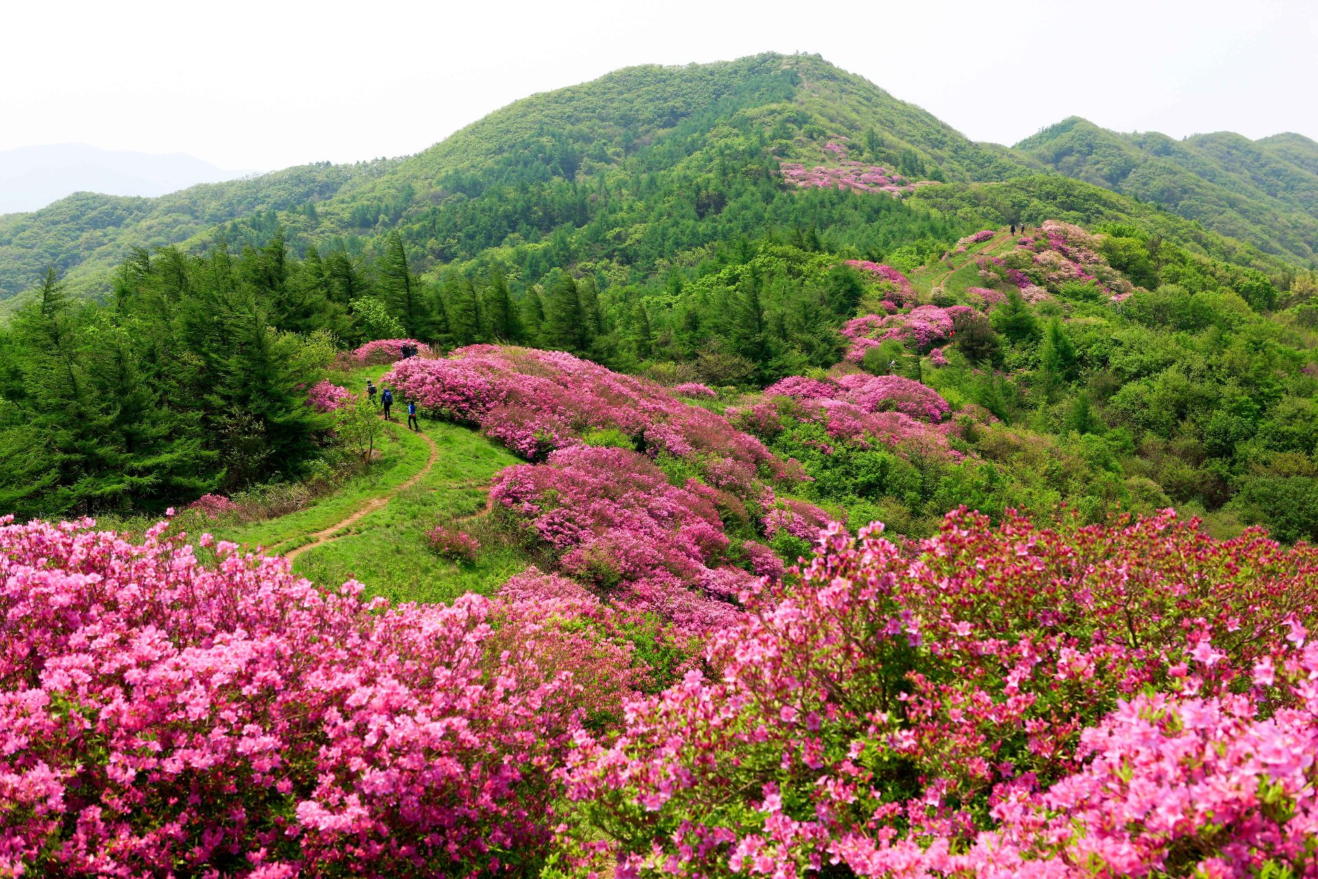 智異山（チリサン） photo 4