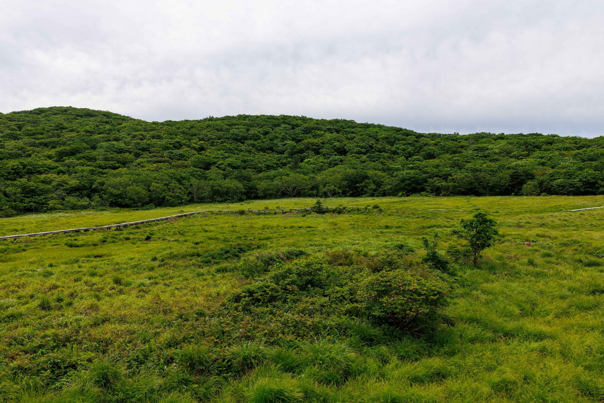 大岩山（テアムサン） photo 5