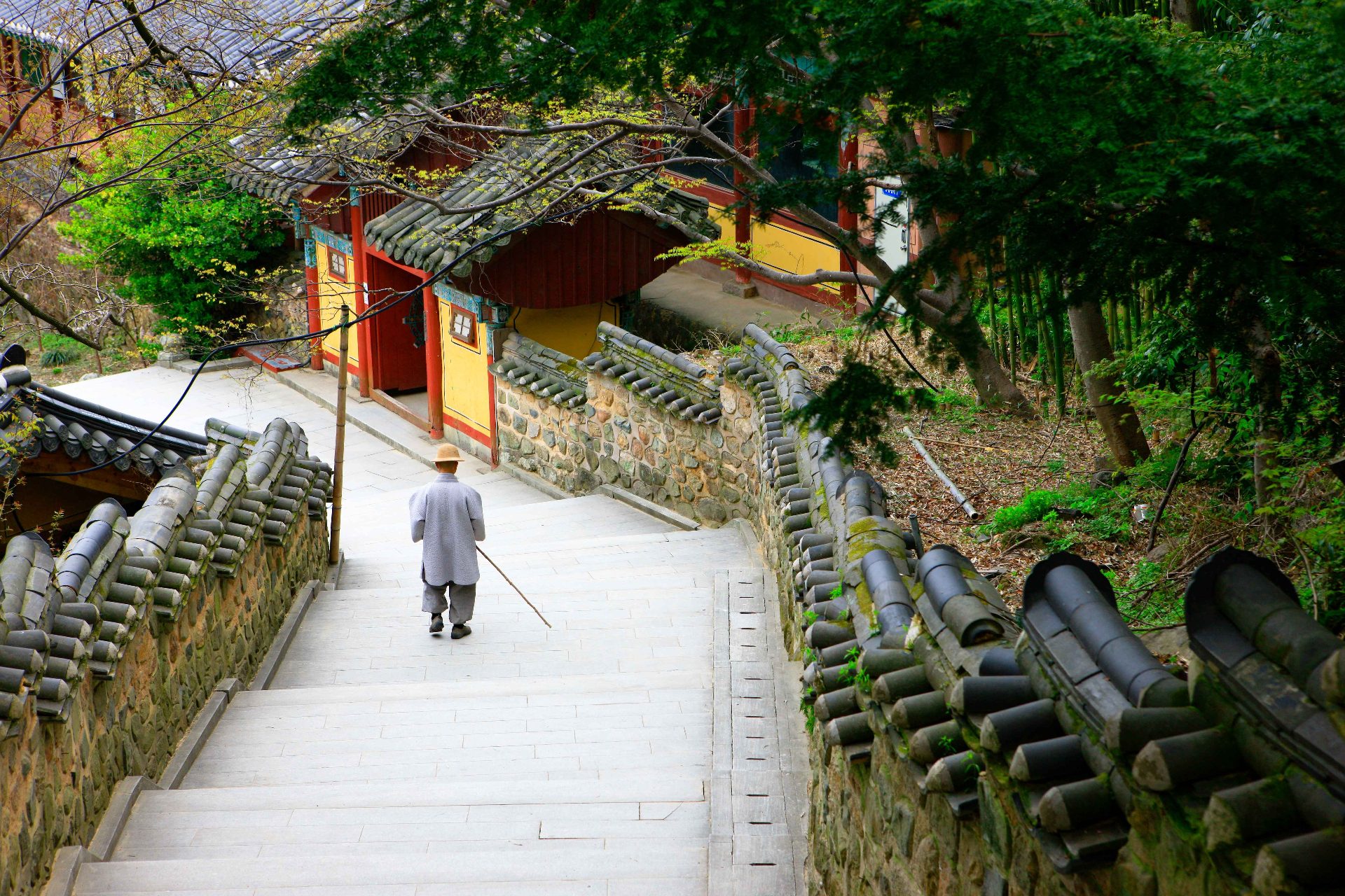 金井山 photo 4
