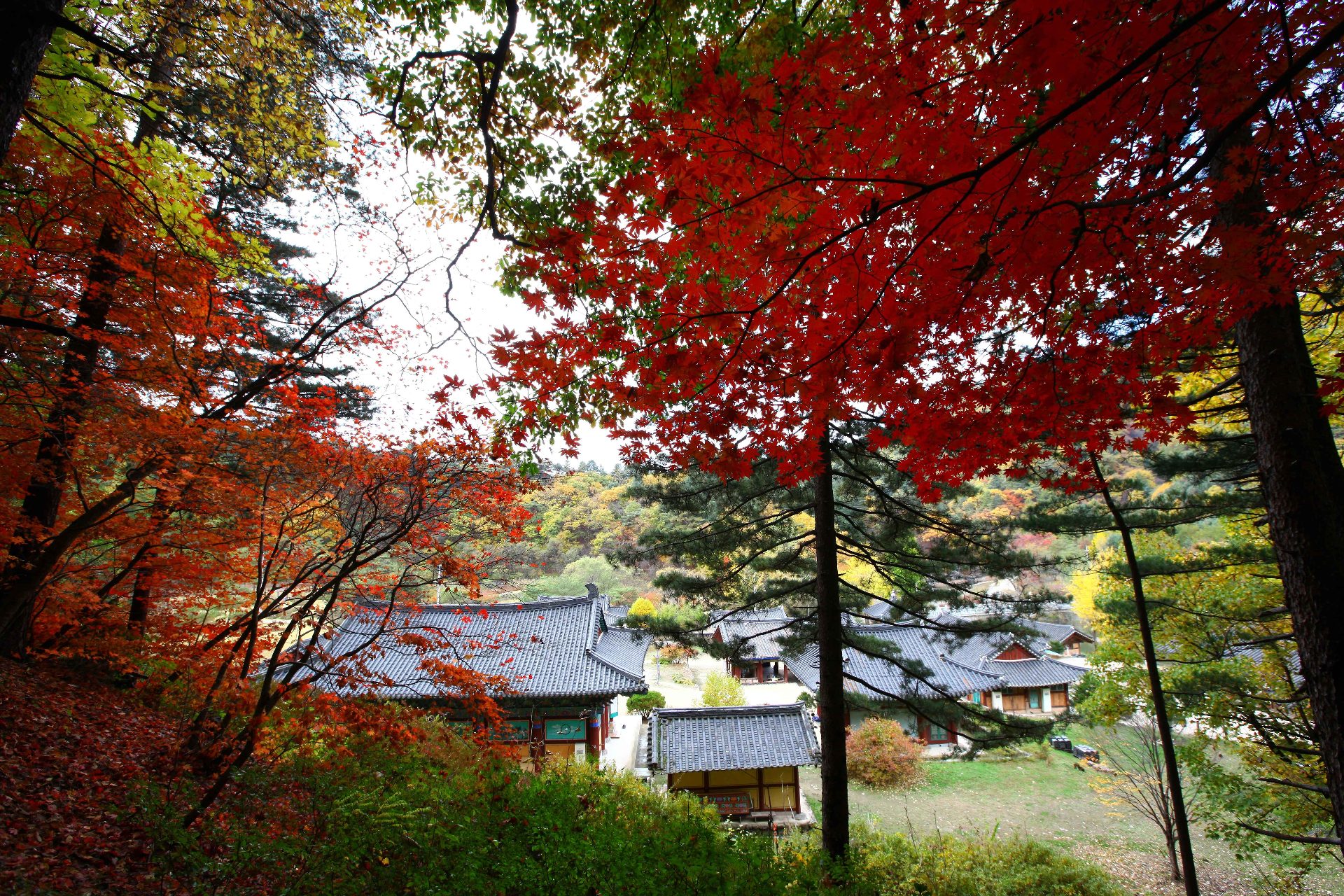 孔雀山（コンジャクサン） photo 5