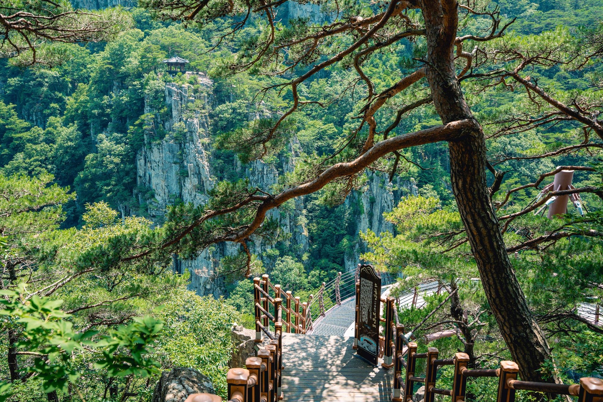 内延山 photo 3