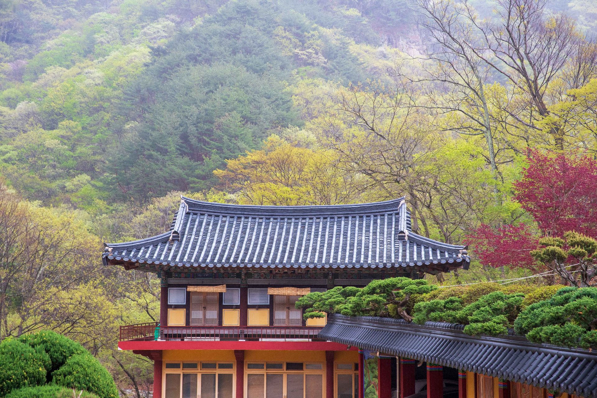 千聖山（チョンソンサン） photo 2
