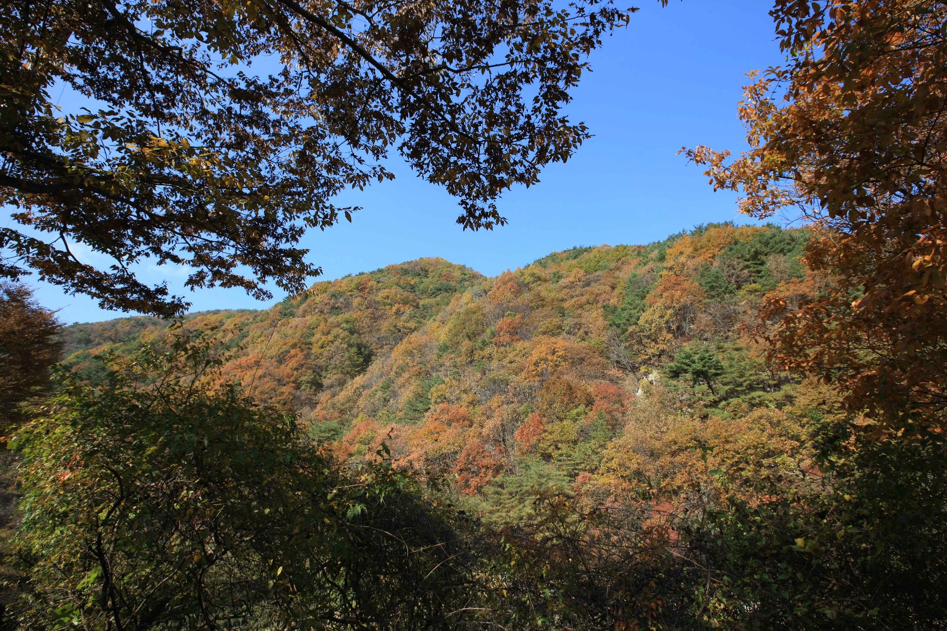 雉岳山（チアクサン）