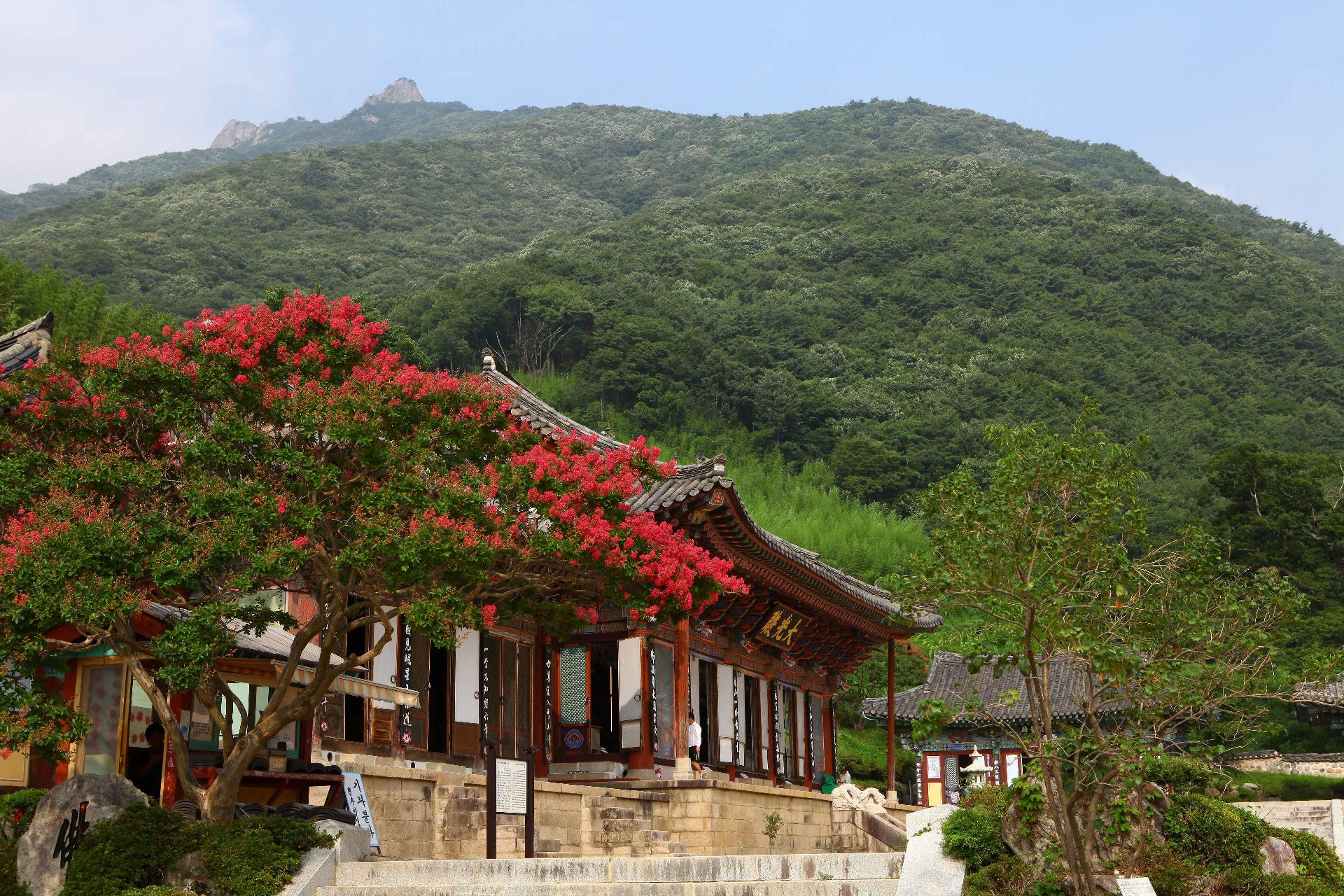 载药山