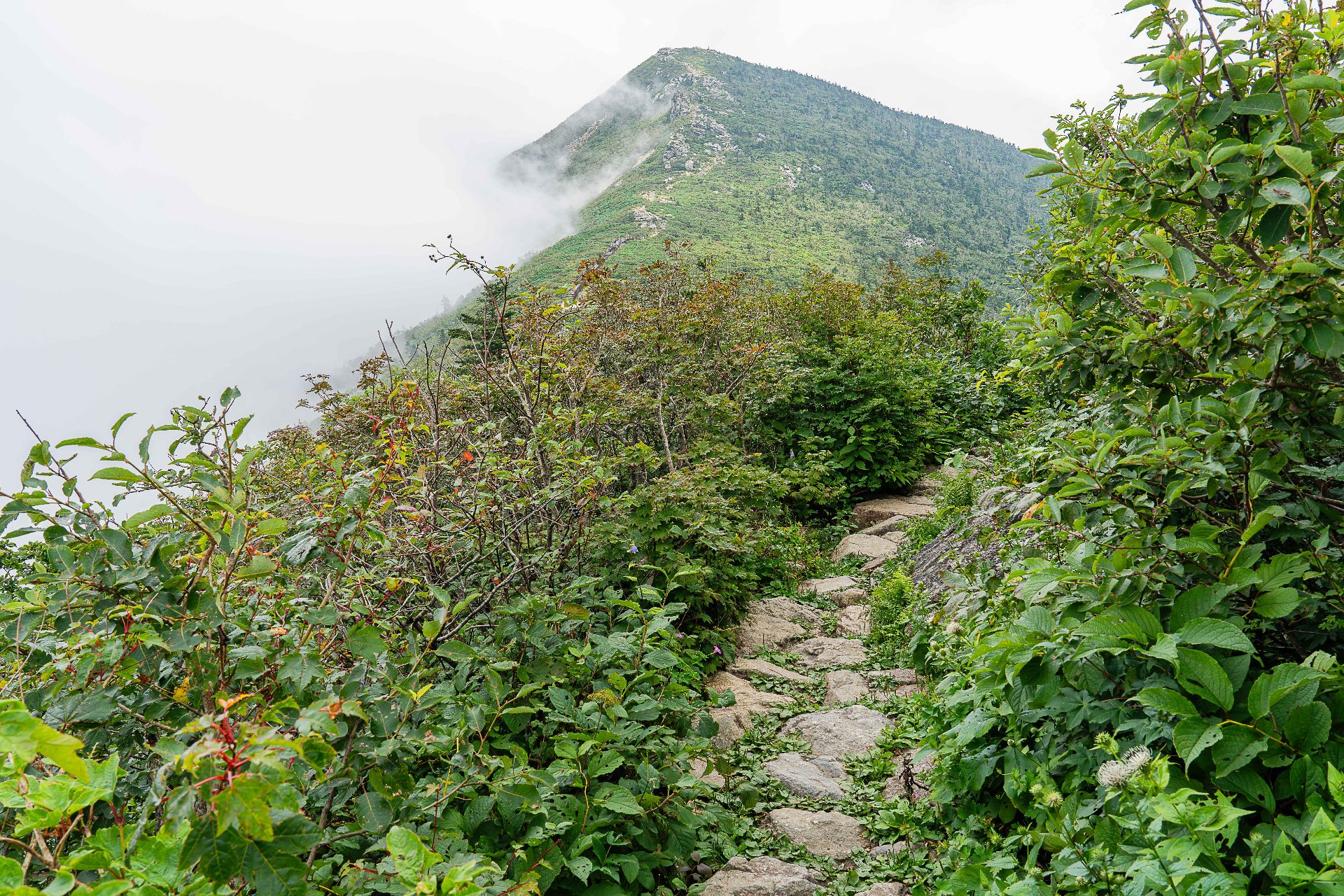 点鳳山（チョムボンサン） photo 4