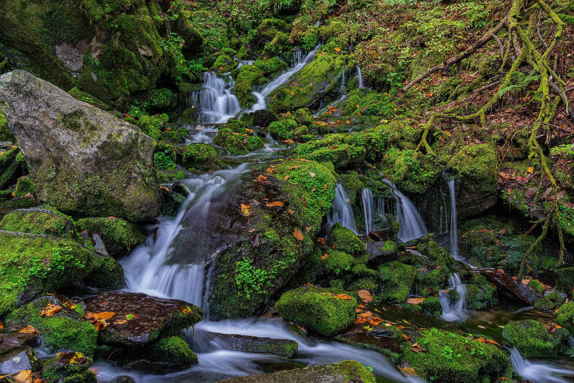 加里王山（カリワンサン） photo 4