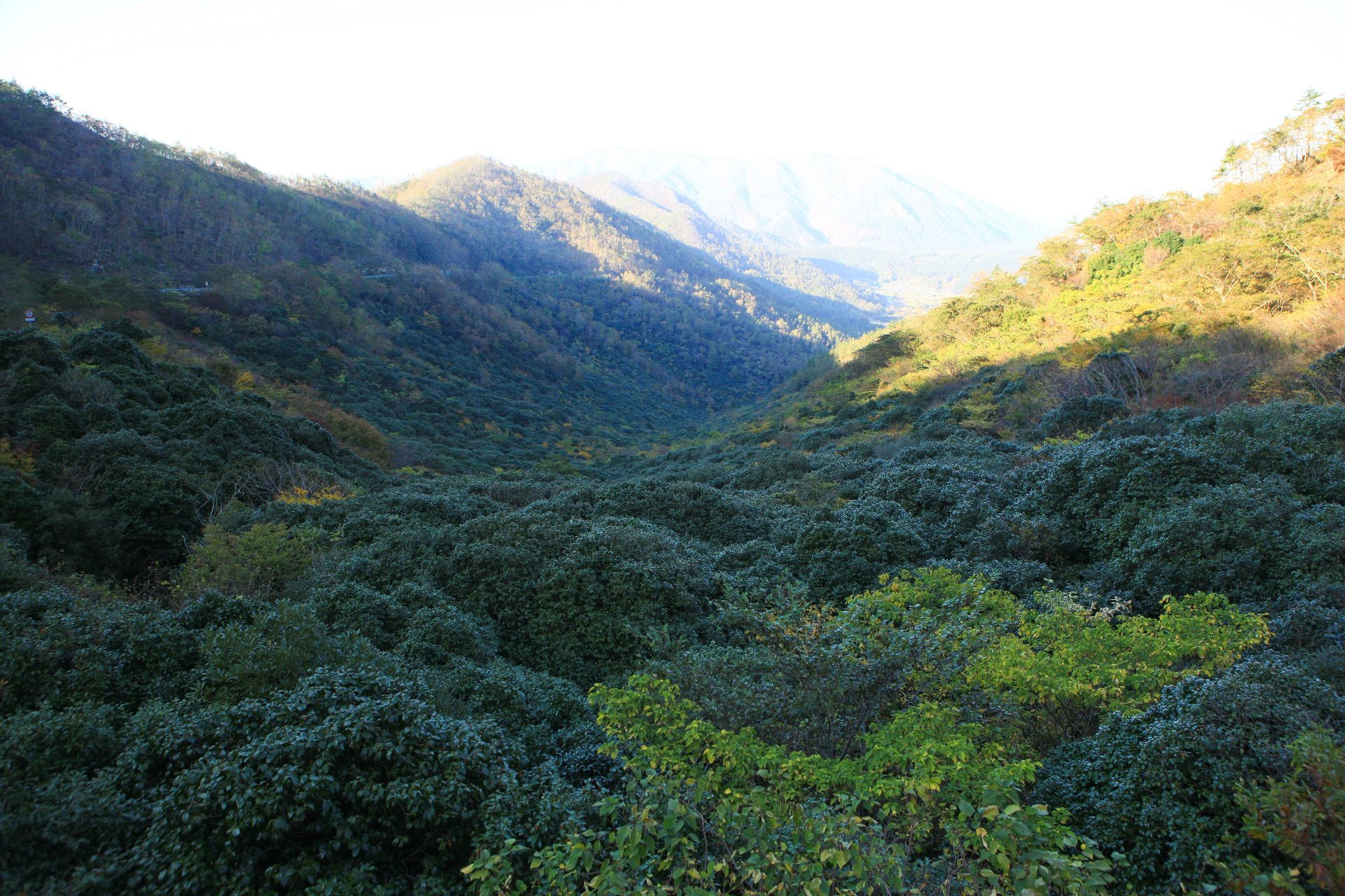 天冠山（チョングァンサン） photo 3