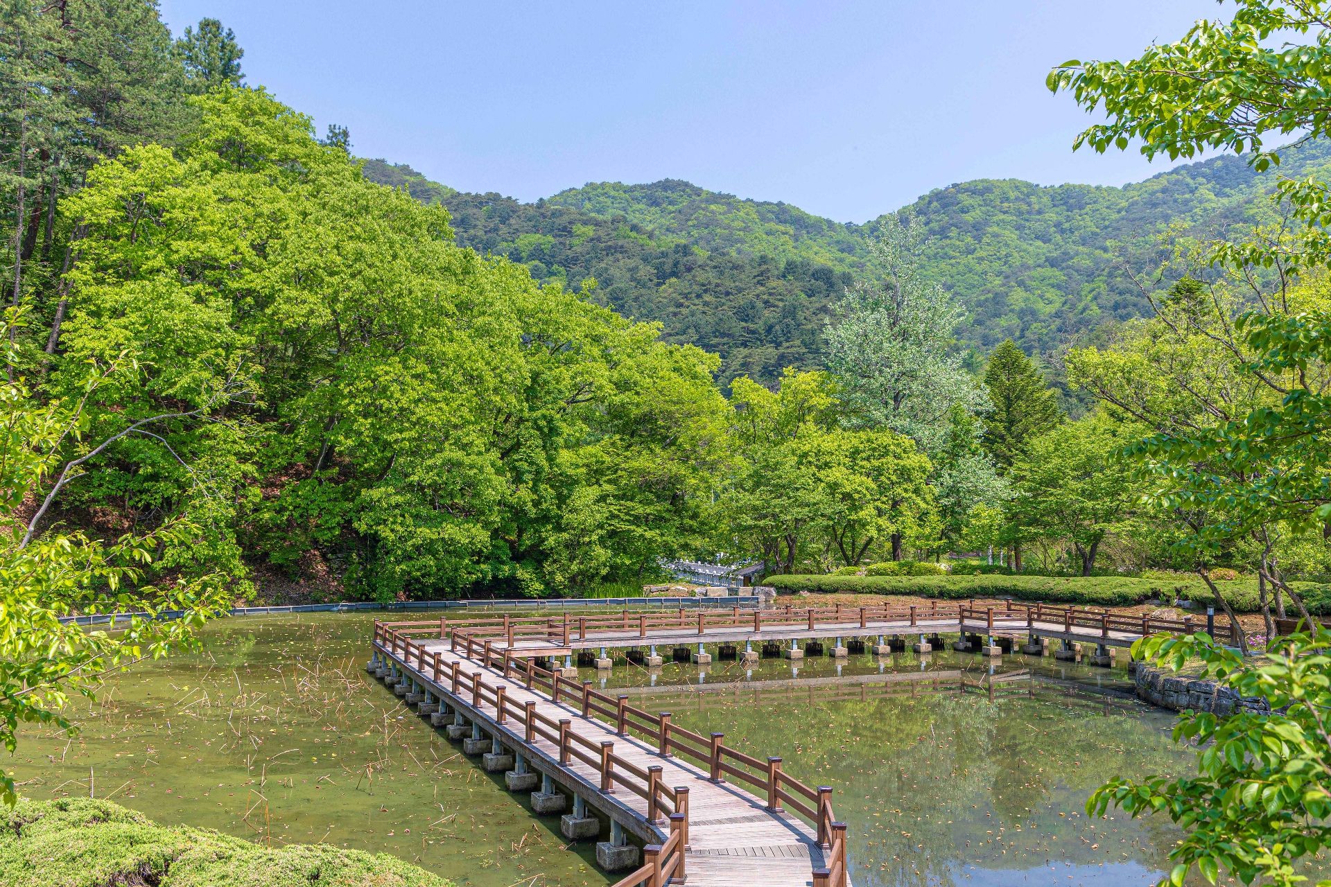 孔雀山（コンジャクサン） photo 4