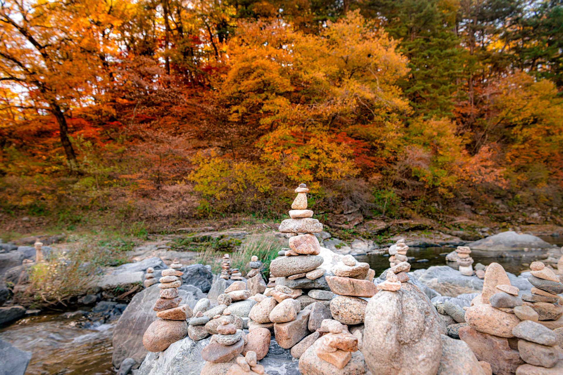 孔雀山（コンジャクサン） photo 3