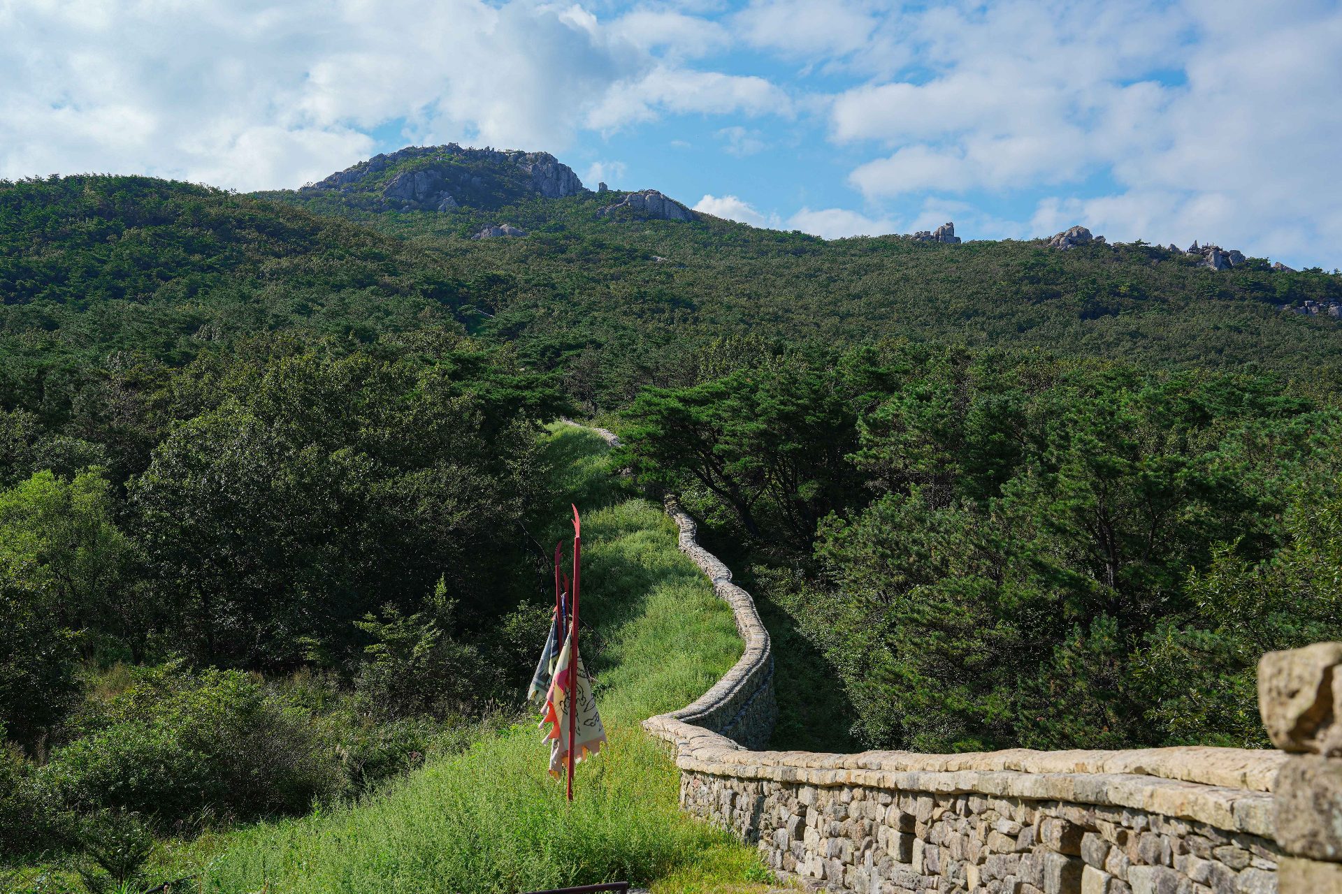 金井山 photo 3