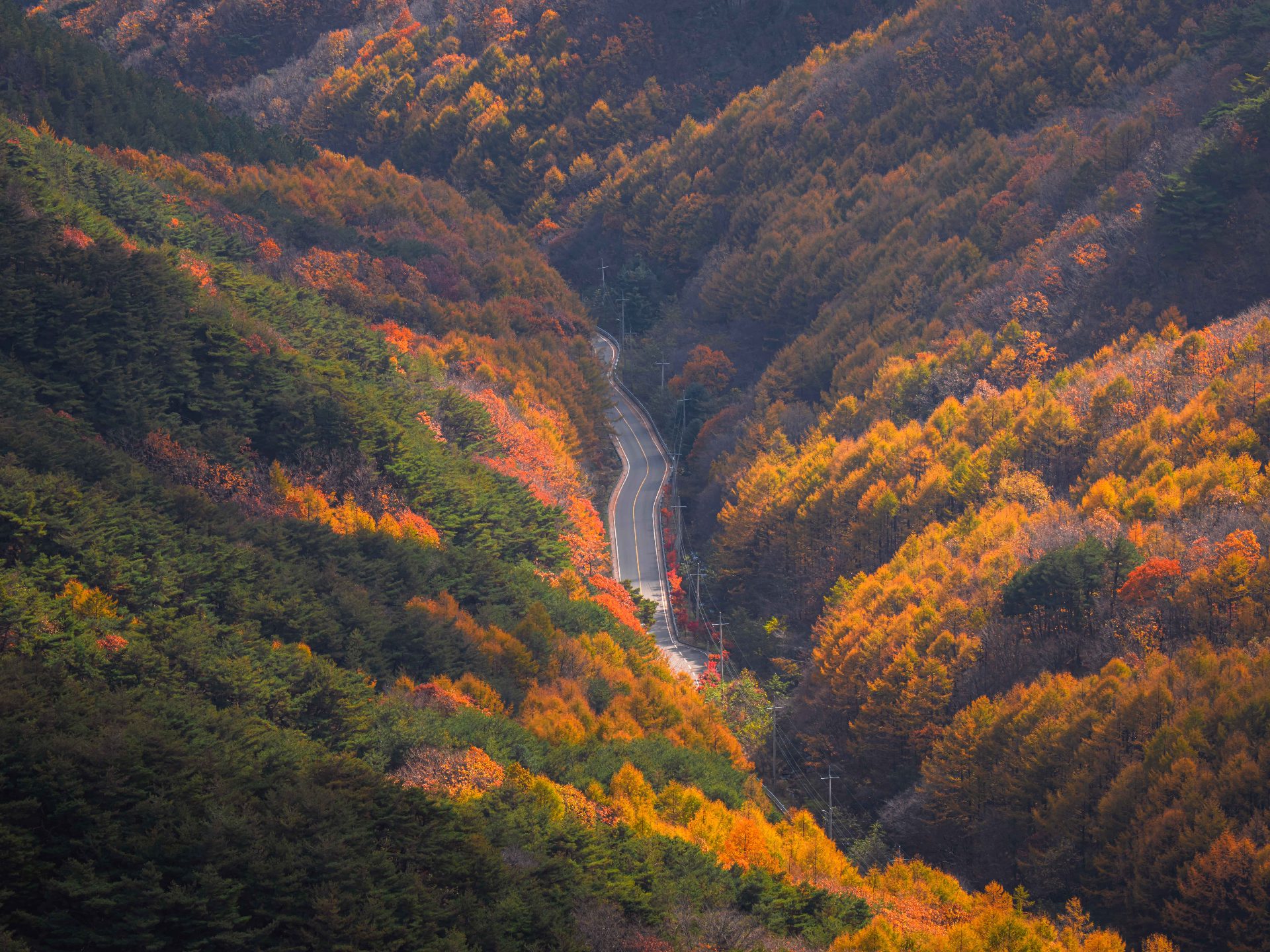 八公山 photo 5