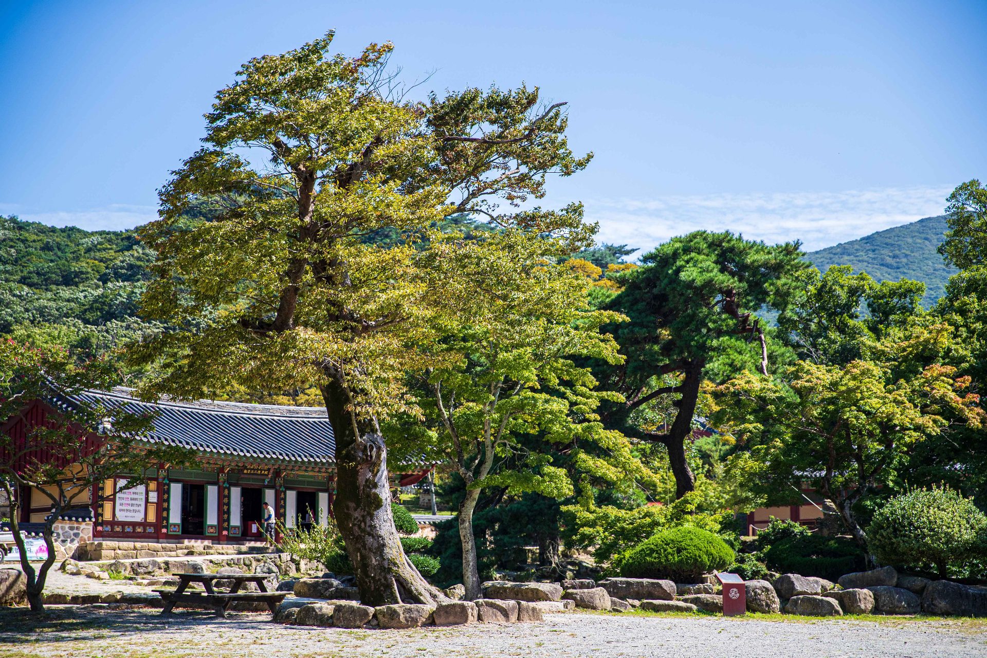 头轮山 photo 5