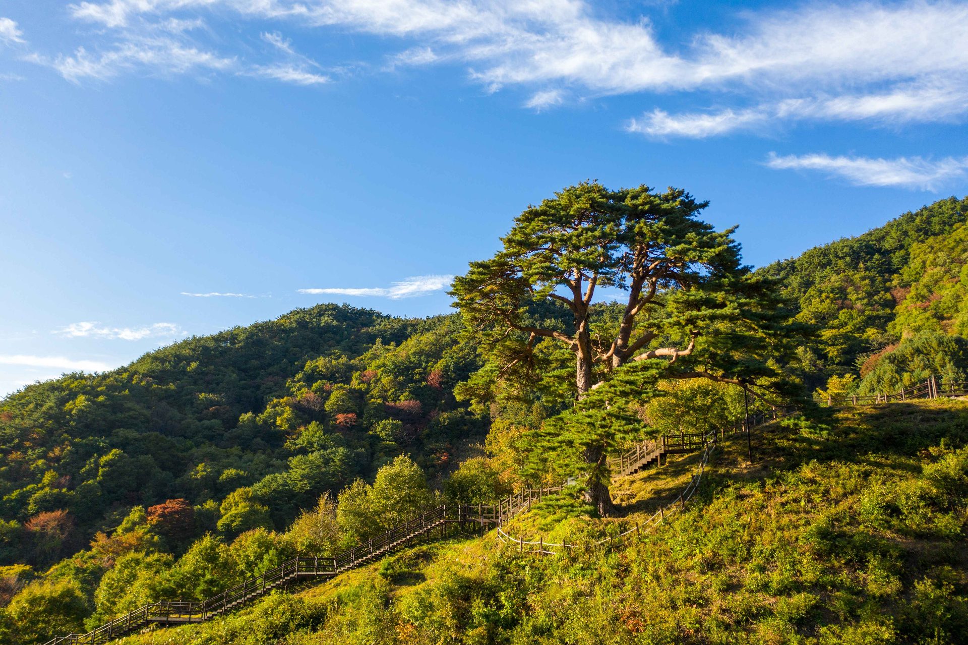 智異山（チリサン） photo 5