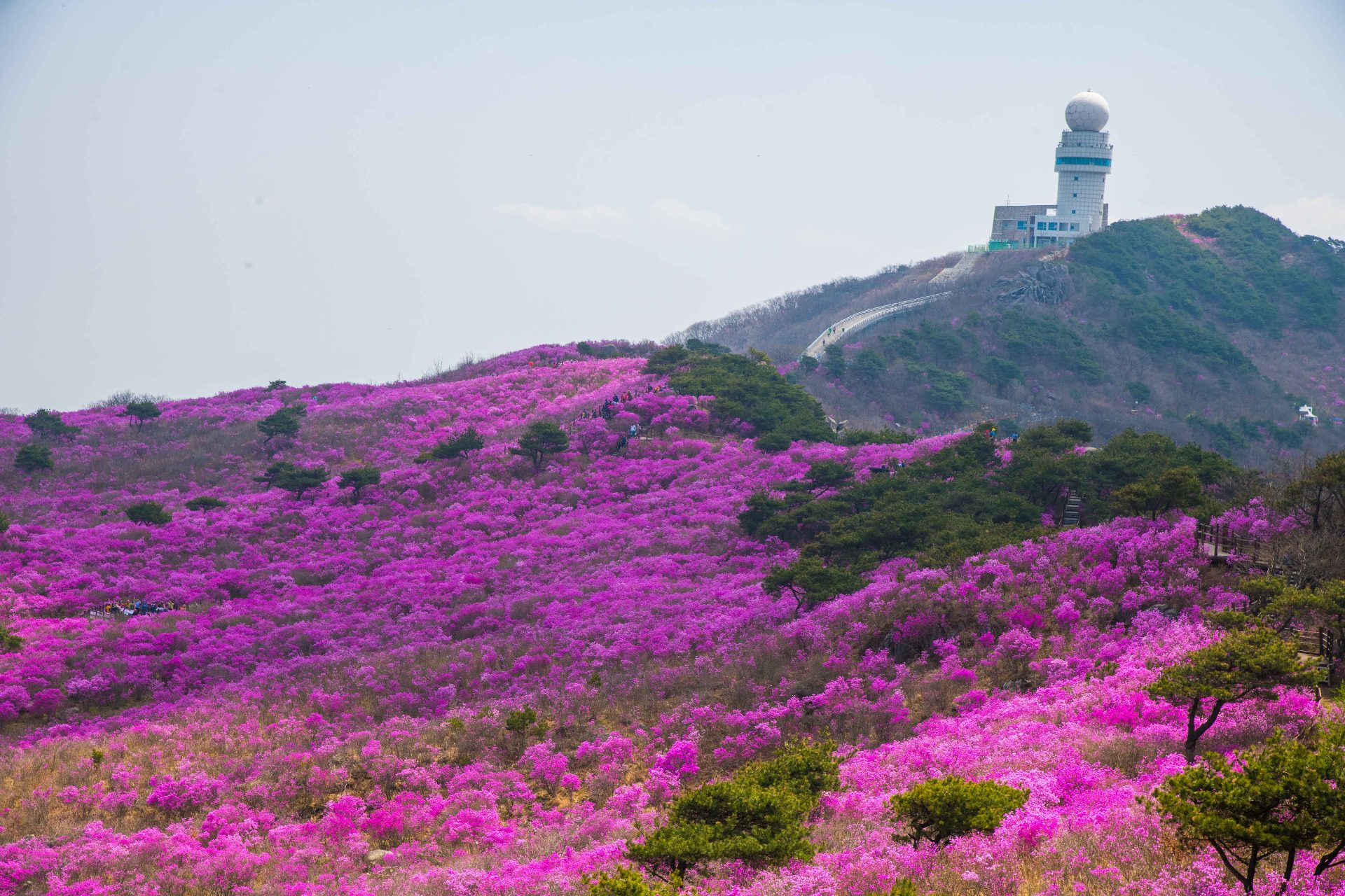 毘瑟山（ピスルサン）