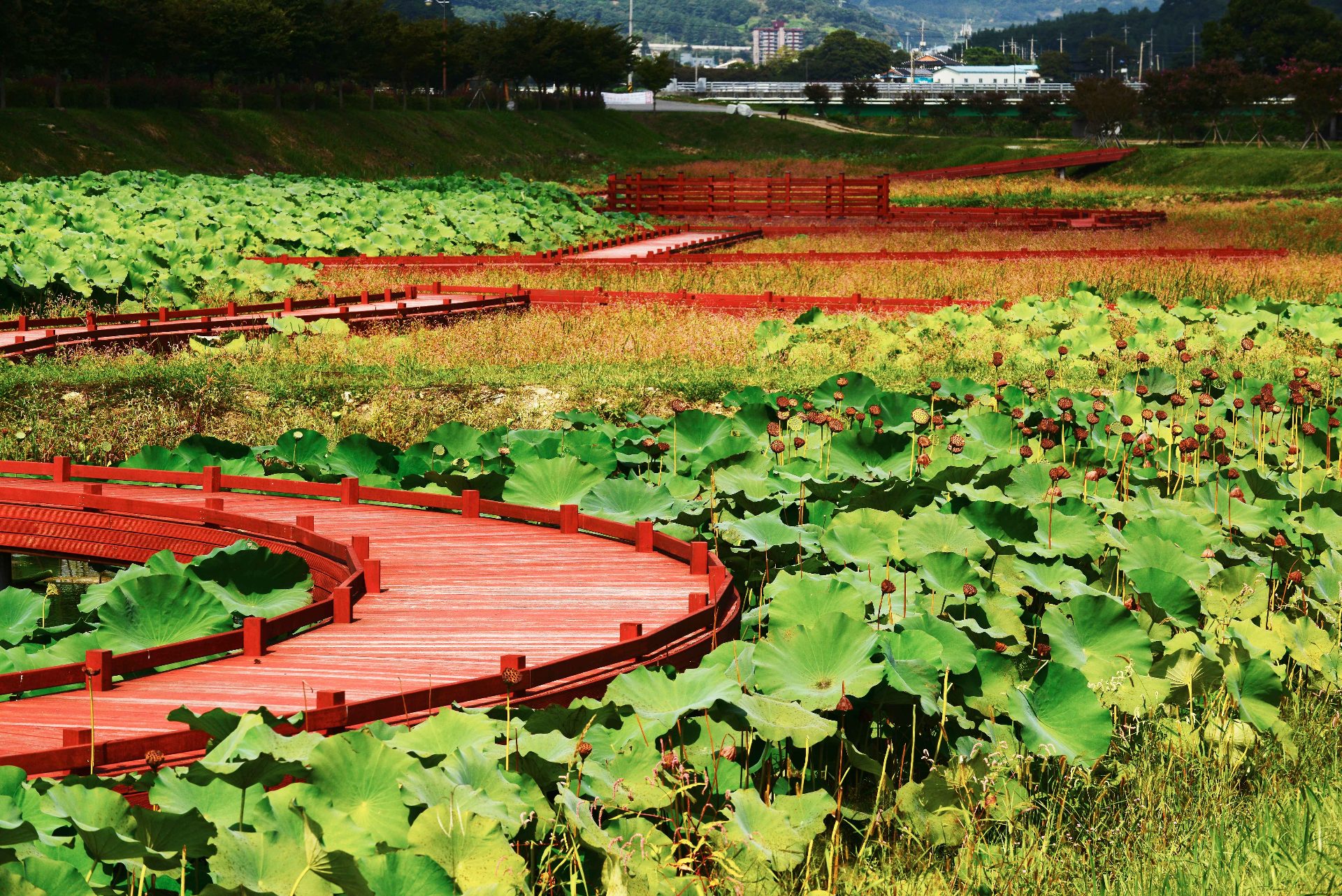 智異山（チリサン） photo 3