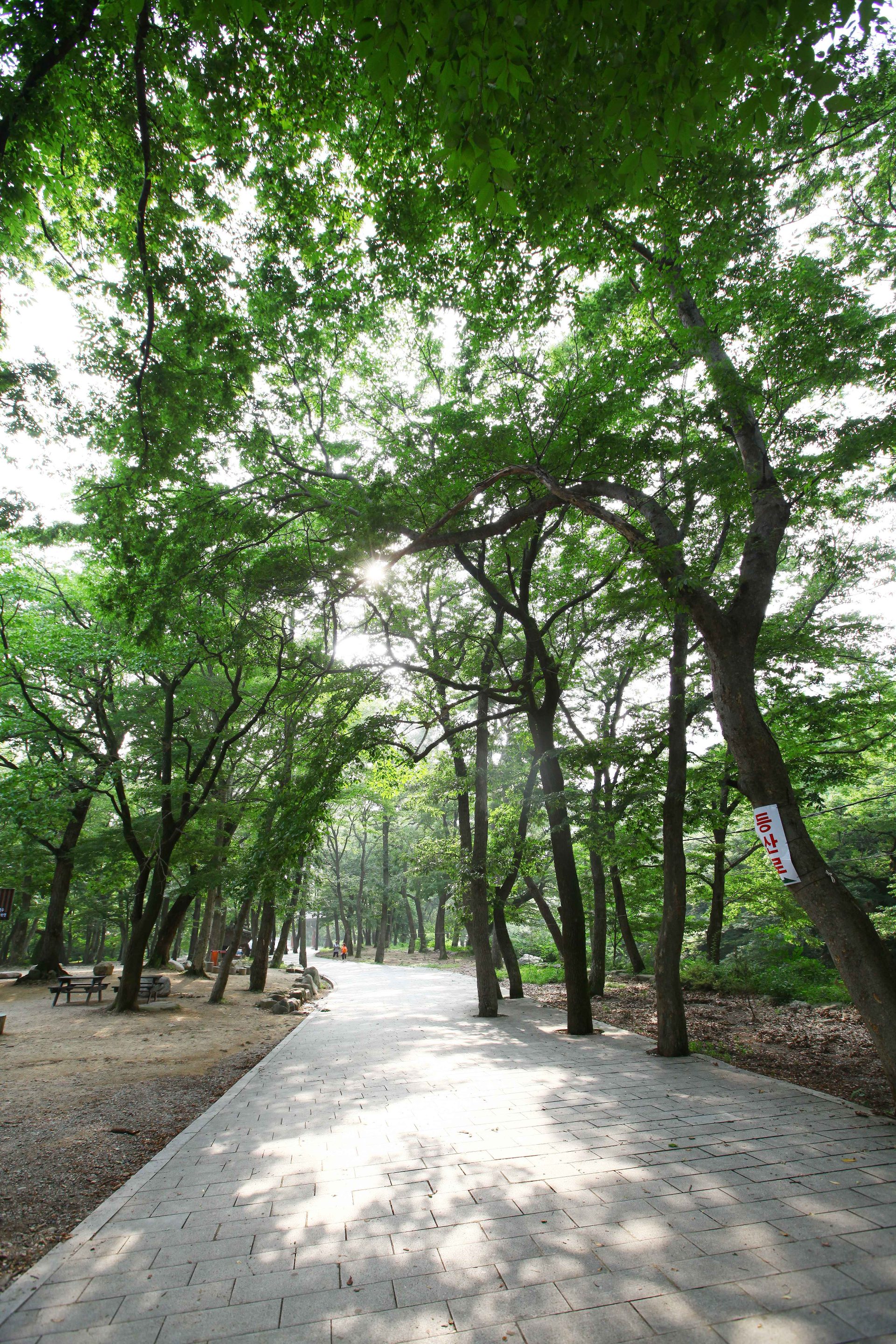 载药山 photo 2