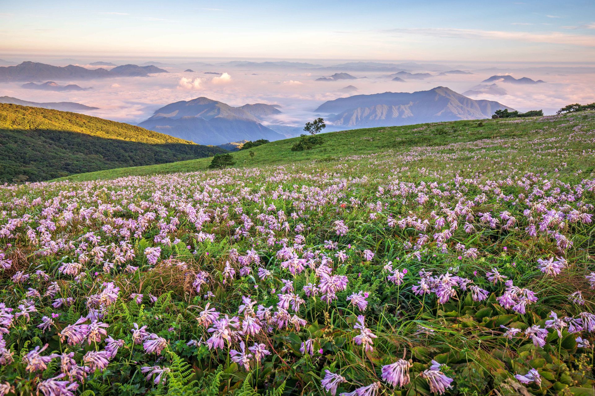 小白山（ソベクサン） photo 2
