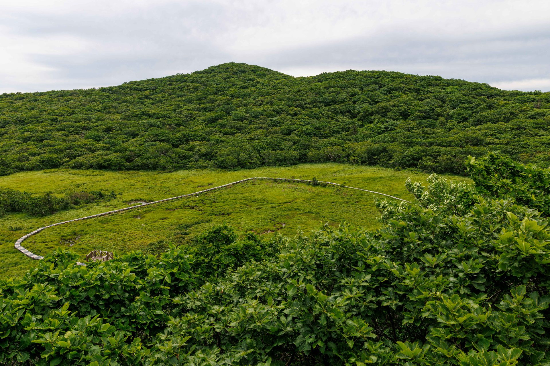 大岩山（テアムサン） photo 2