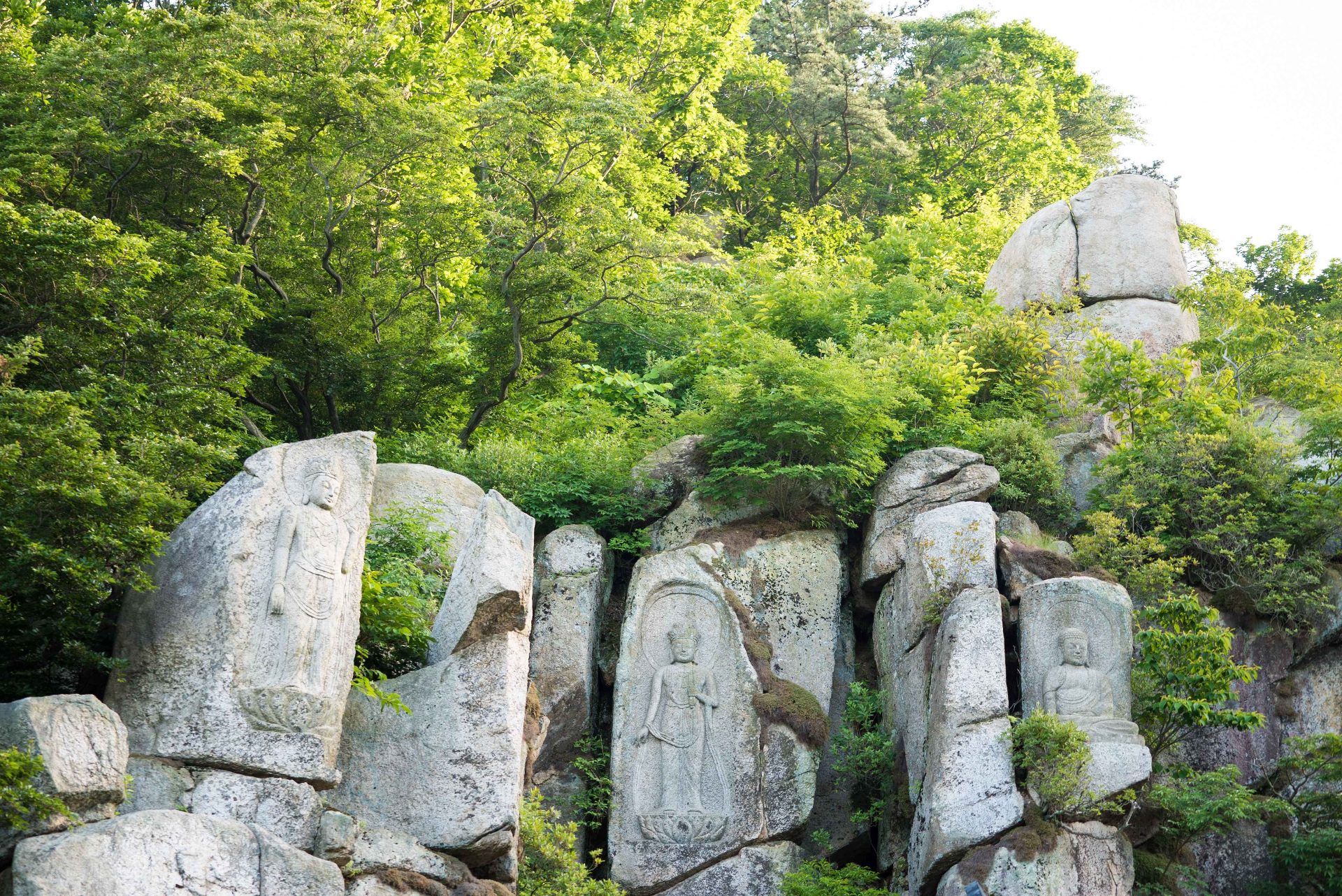金井山 photo 5