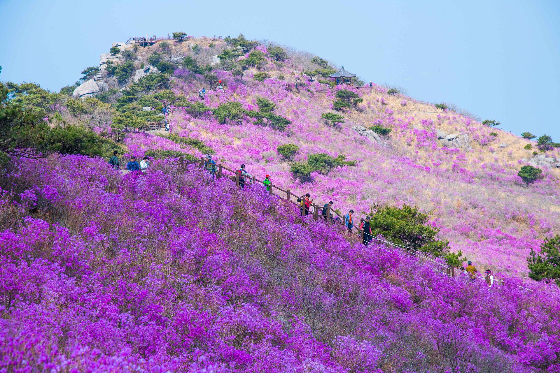 琵瑟山 photo 3