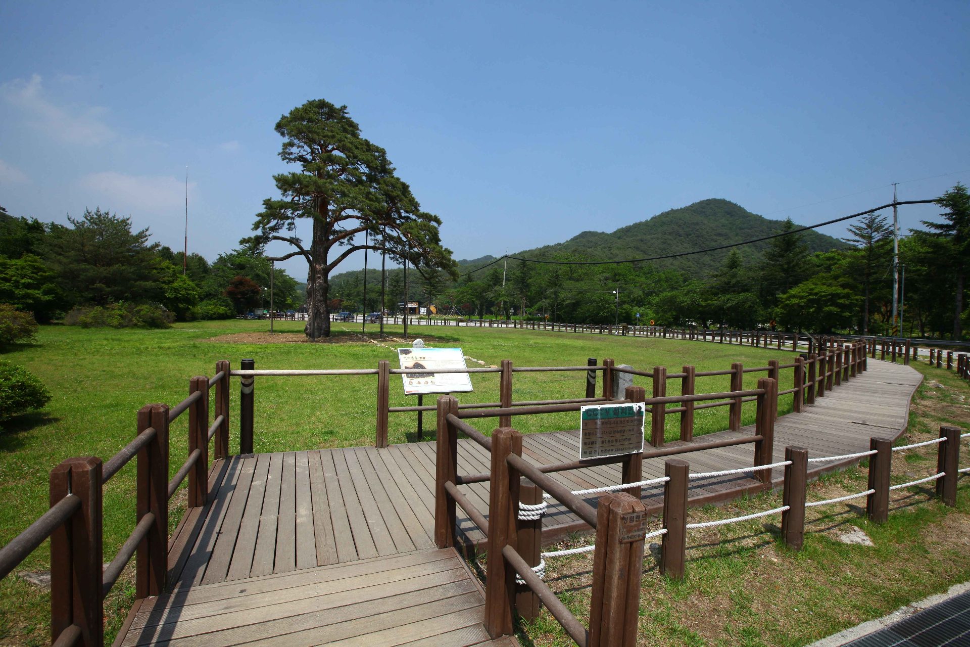 俗离山 photo 3