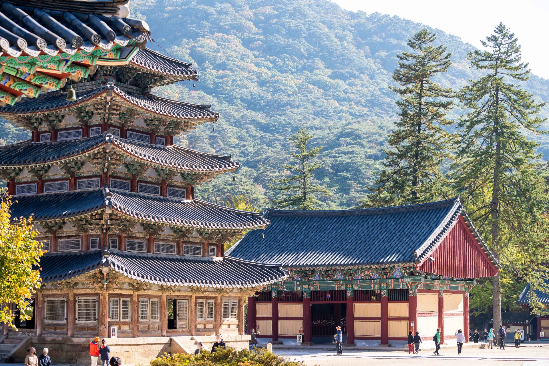 俗离山 photo 2