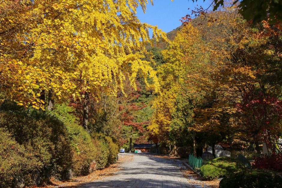 龙门山 photo 5