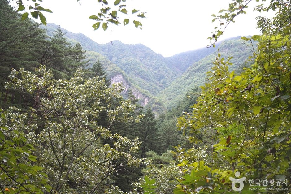 徳項山（トカンサン） photo 4