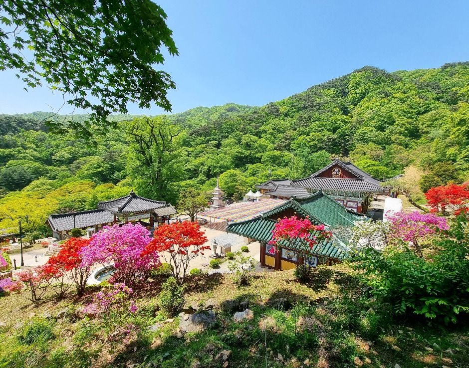龙门山 photo 2