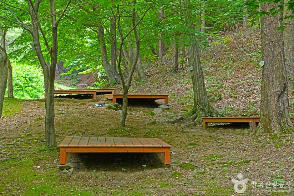 民主地山（ミンジュジサン） photo 3
