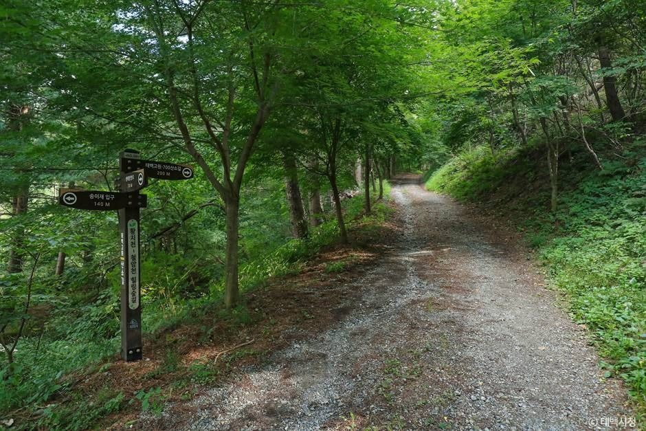 연화산 photo 2