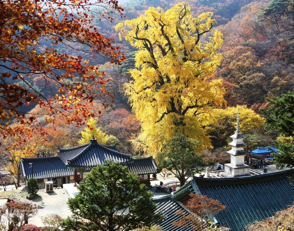 龙门山 photo 4