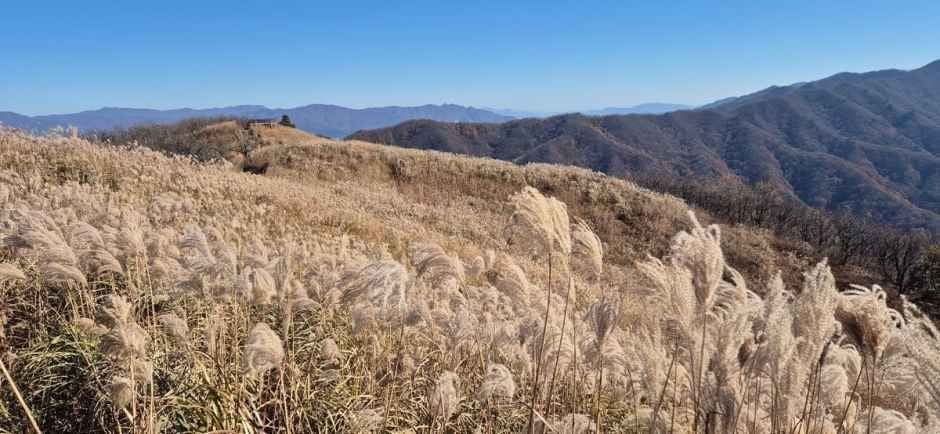 长安山 photo 2