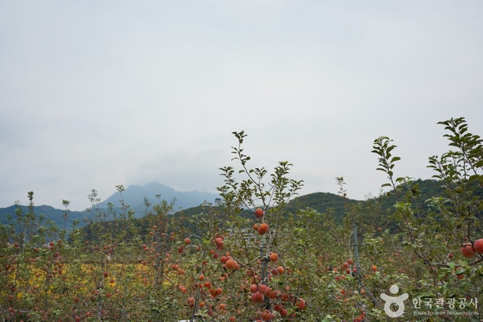 主屹山（チュフルサン） photo 3