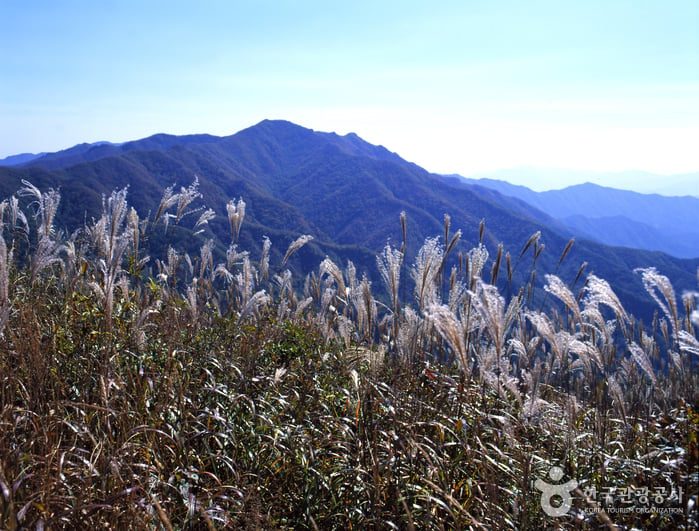 长安山 photo 3