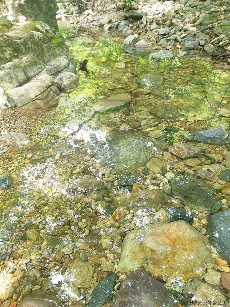雲長山（ウンジャンサン） photo 3