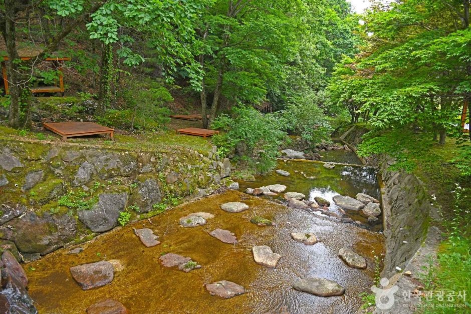 民主地山