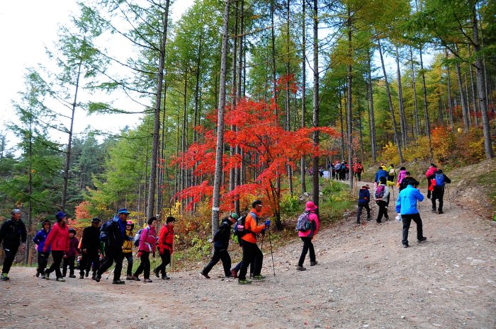 연화산 photo 5