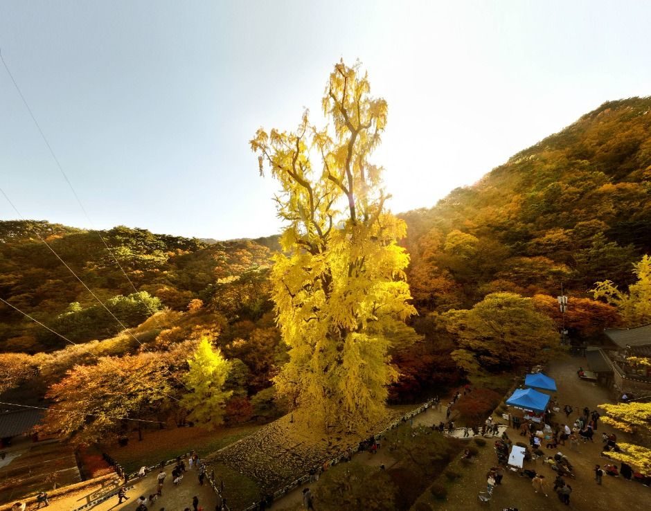 龙门山