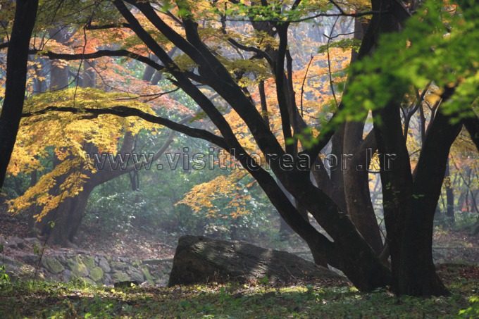 内藏山（Naejangsan） photo 2