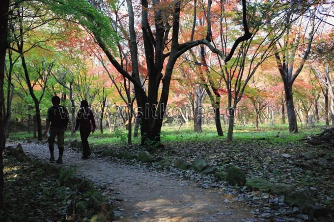 内藏山（Naejangsan） photo 3